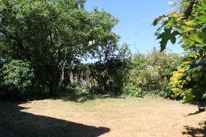 Photo 2- click for photo gallery